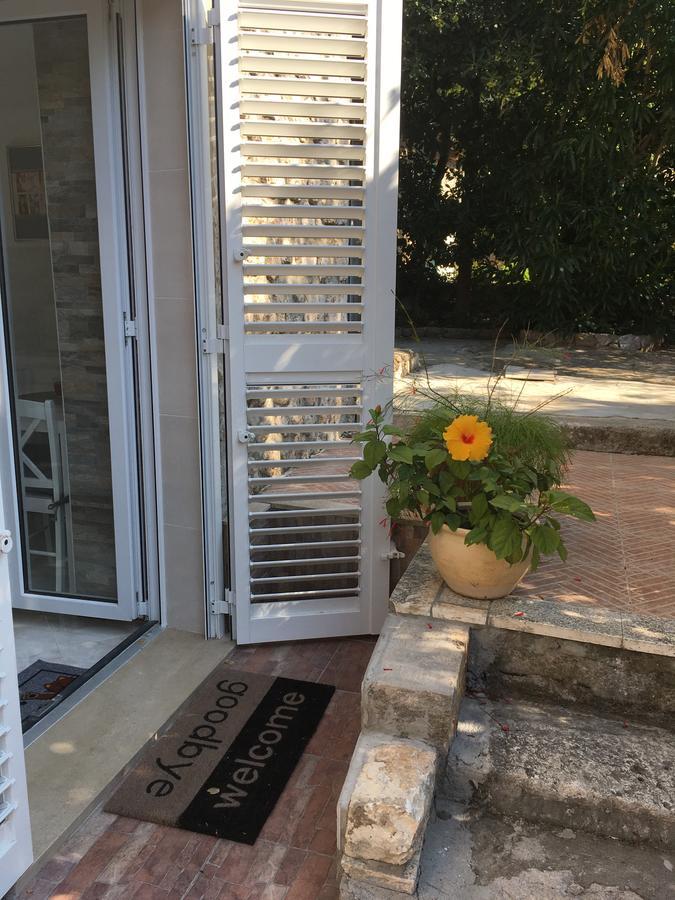 Apartment Nikka دوبروفينك المظهر الخارجي الصورة